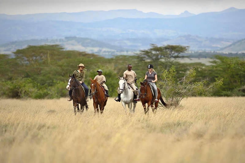 Kenya Safaris